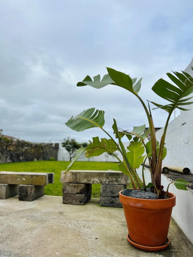 ヴィラ・フランカ・ド・カンポ Casa Familia Acorianaヴィラ エクステリア 写真